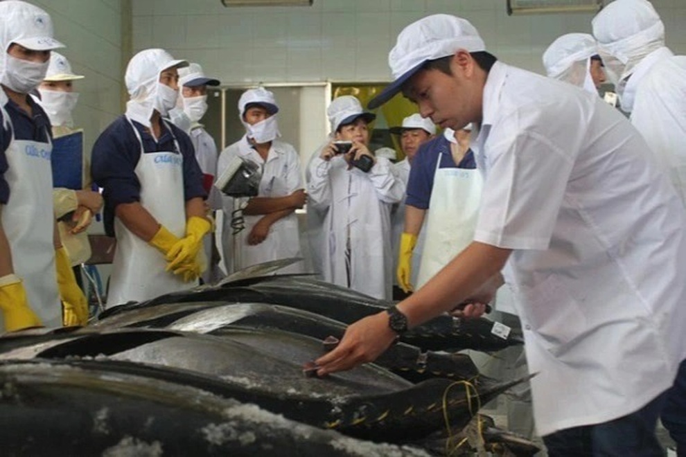 Nỗ lực gỡ thẻ vàng ở Bình Định - 1 Nỗ lực gỡ thẻ vàng ở Bình Định - 1