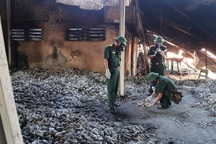 Binh chủng Hóa học có thể tẩy sạch chất độc quanh khu vực cháy Công ty Rạng Đông