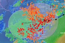 Bão Wipha suy yếu thành áp thấp nhiệt đới