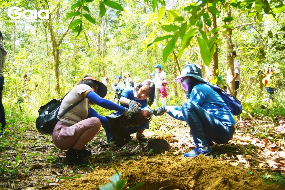 Sự chuyên nghiệp của Gaia đã chinh phục, kéo chúng tôi lại gần nhau hơn - 1 Sự chuyên nghiệp của Gaia đã chinh phục, kéo chúng tôi lại gần nhau hơn - 1