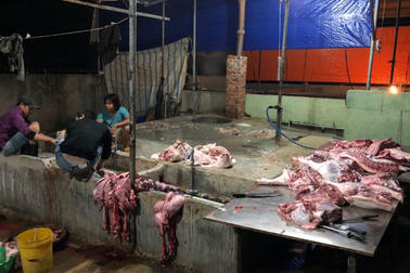 7 lần đổi địa điểm mổ heo lậu để “né” kiểm tra