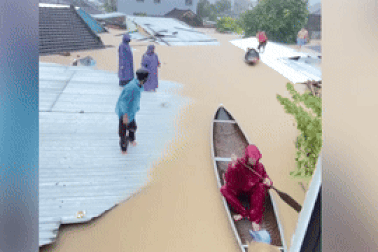 Dân chèo thuyền trên mái nhà, có người chỉ kịp ôm 2 con chó chạy lũ dữ