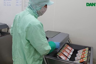 Nhiều việc làm Tết với mức lương 300.000 đồng/ngày