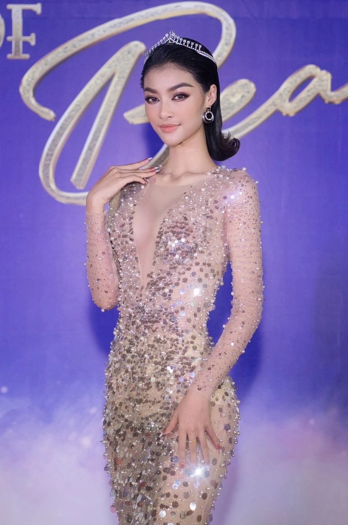 Dàn hoa hậu diện váy cắt xẻ táo bạo trên thảm đỏ Hoa hậu Thế giới Việt Nam - 6