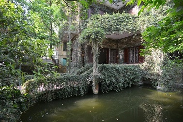 "Biệt thự xanh" bạc tỉ đẹp như cổ tích giữa lòng Hà Nội