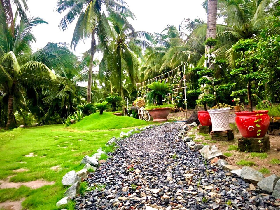 Chàng trai Tiền Giang cải tạo đất trống thành vườn 200m2 chỉ 10 triệu đồng - 9 Chàng trai Tiền Giang cải tạo đất trống thành vườn 200m2 chỉ 10 triệu đồng - 9