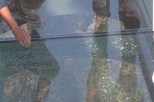 Trung Quốc: Du khách hoảng loạn khi cầu kính cao nhất thế giới bị nứt