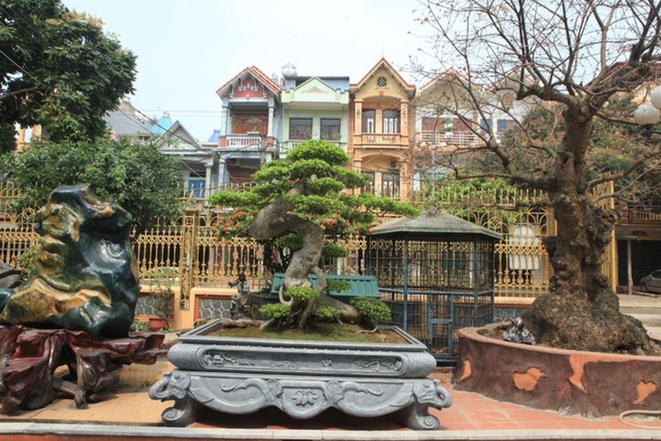 Lạc bước vào những khu vườn đắt giá như vàng ròng của các đại gia Việt - 9 Lạc bước vào những khu vườn đắt giá như vàng ròng của các đại gia Việt - 9