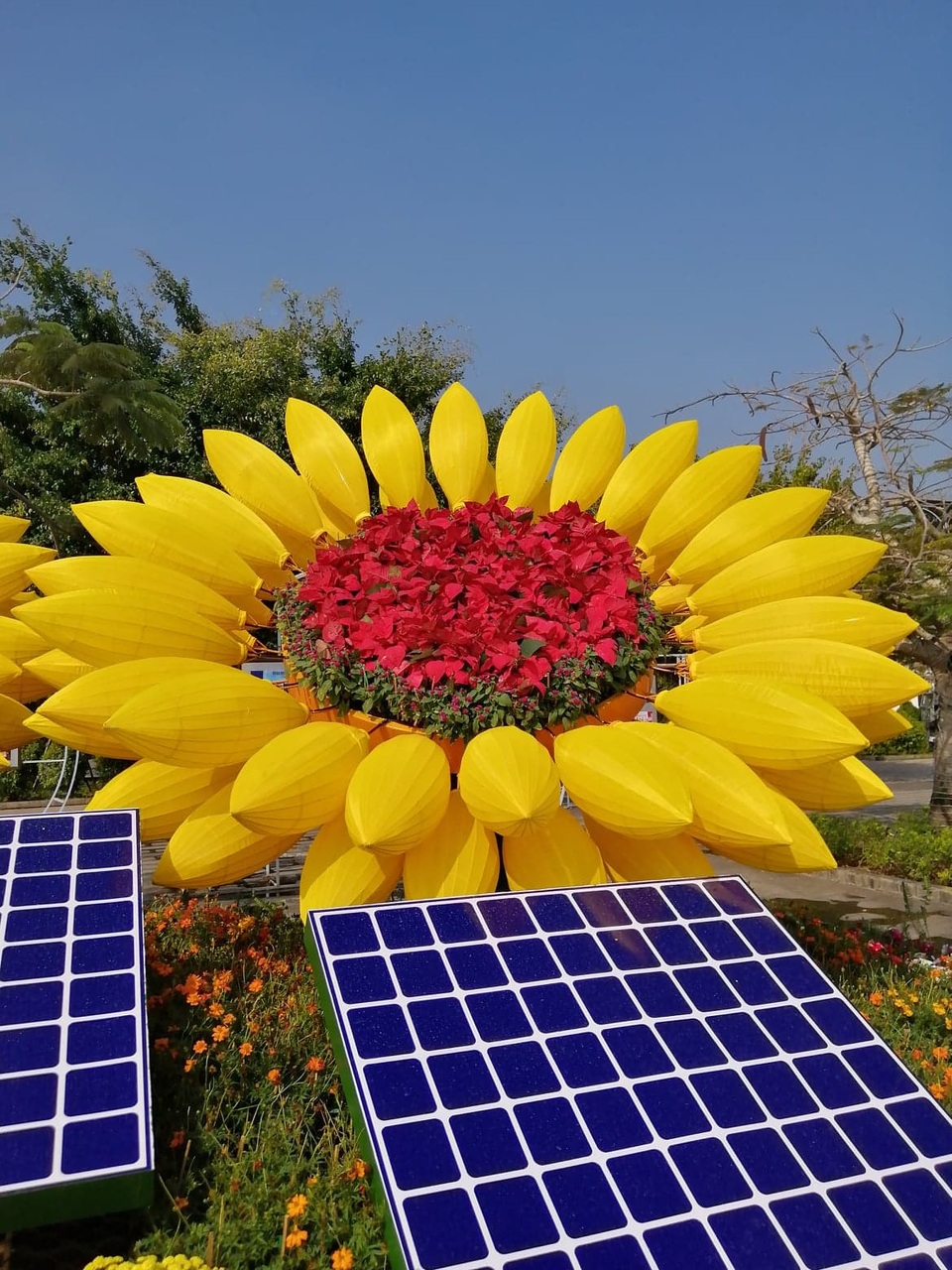Đẹp mắt tiểu cảnh chào năm mới 2020 trên Quảng trường lớn nhất ĐBSCL - 16 Đẹp mắt tiểu cảnh chào năm mới 2020 trên Quảng trường lớn nhất ĐBSCL - 16