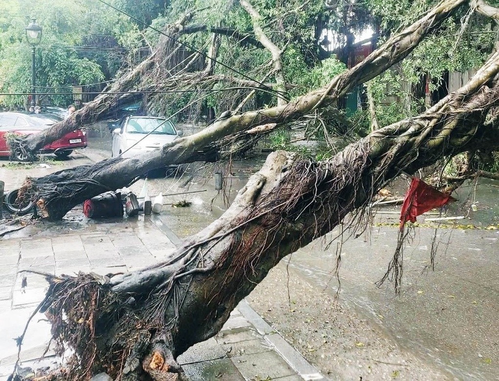 Mưa đá, gió giật mạnh làm đổ nhiều cây, hư hỏng ô tô ở Đền Hùng - 1