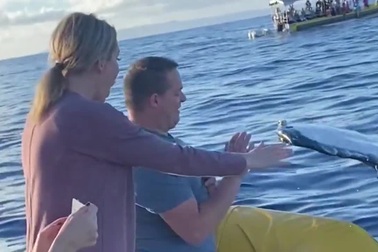 Ấn tượng khoảnh khắc cá voi đập tay với người