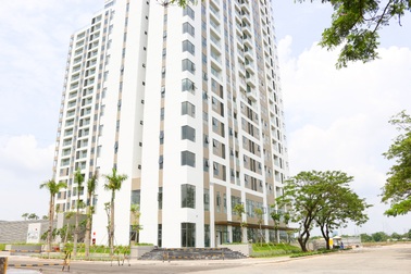 Tham quan Thủ Thiêm Dragon quận 2 trước thềm bàn giao