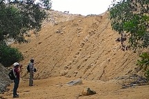 Mỏ đá làm sai, tổng giám đốc có thái độ xem thường báo chí?