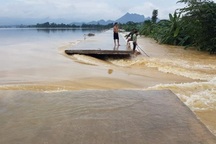 "Lũ lớn vượt lịch sử gây ra 305 sự cố uy hiếp nghiêm trọng an toàn đê điều"
