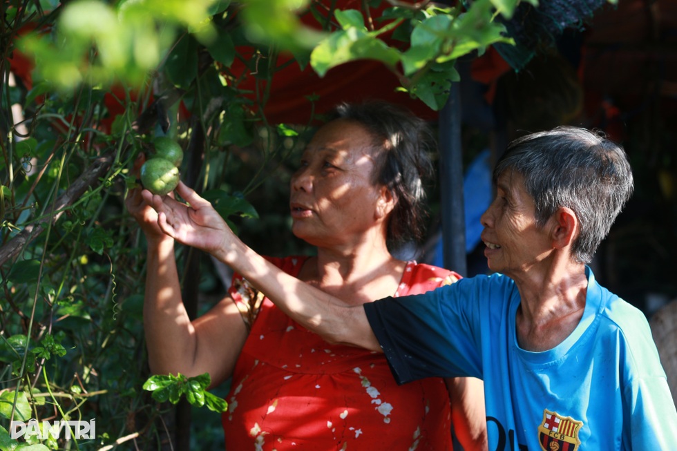 Cuộc sống bên nghĩa trang của cặp vợ chồng phụ nữ gắn bó 30 năm - 6