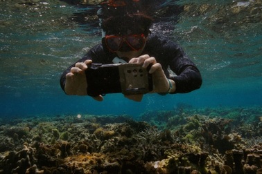 Hành trình một năm Samsung phục hồi hệ sinh thái biển với công nghệ Galaxy