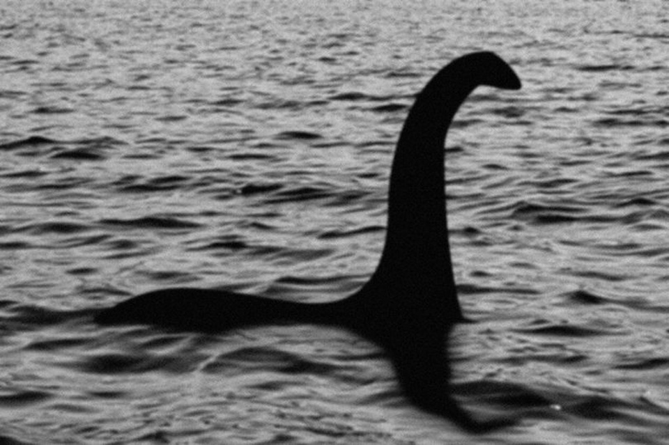 Quái vật hồ Loch Ness là một con rùa cổ đại? - 1 Quái vật hồ Loch Ness là một con rùa cổ đại? - 1