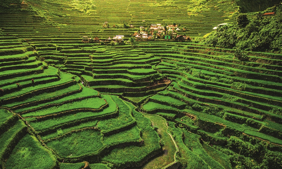 Những trải nghiệm thú vị nhất nên thử ở Đông Nam Á (P1) - 6 Những trải nghiệm thú vị nhất nên thử ở Đông Nam Á (P1) - 6