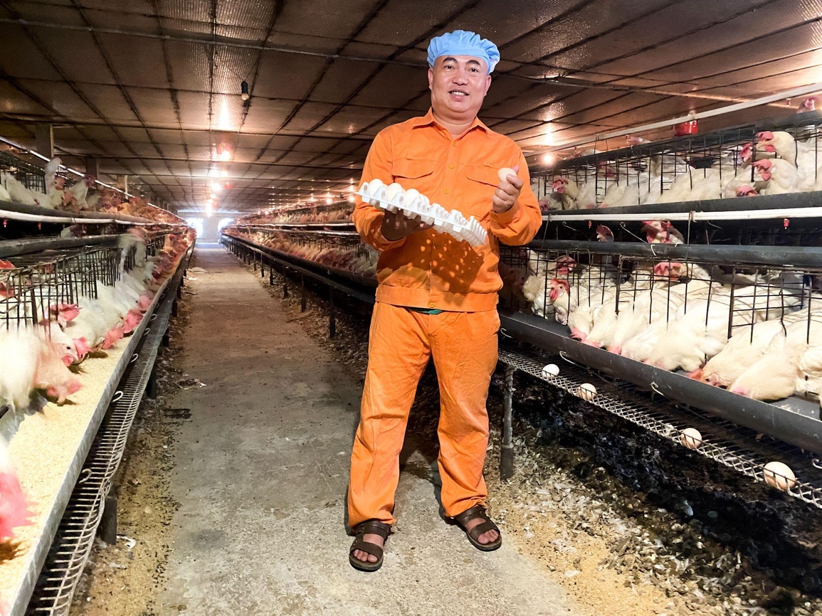 Trứng gà cà gai leo, sản phẩm độc đáo của nông dân Chương Mỹ - 1 Trứng gà cà gai leo, sản phẩm độc đáo của nông dân Chương Mỹ - 1
