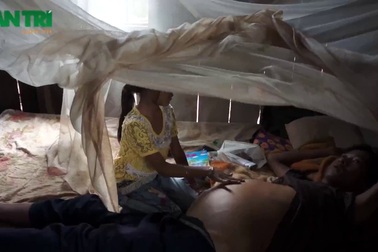 Ước mơ được ăn miếng thịt của bé gái 8 tuổi sống lay lắt chăm cha trọng bệnh