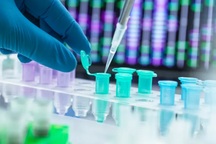 DNA và vai trò trong việc xác định nạn nhân của thảm họa hàng loạt