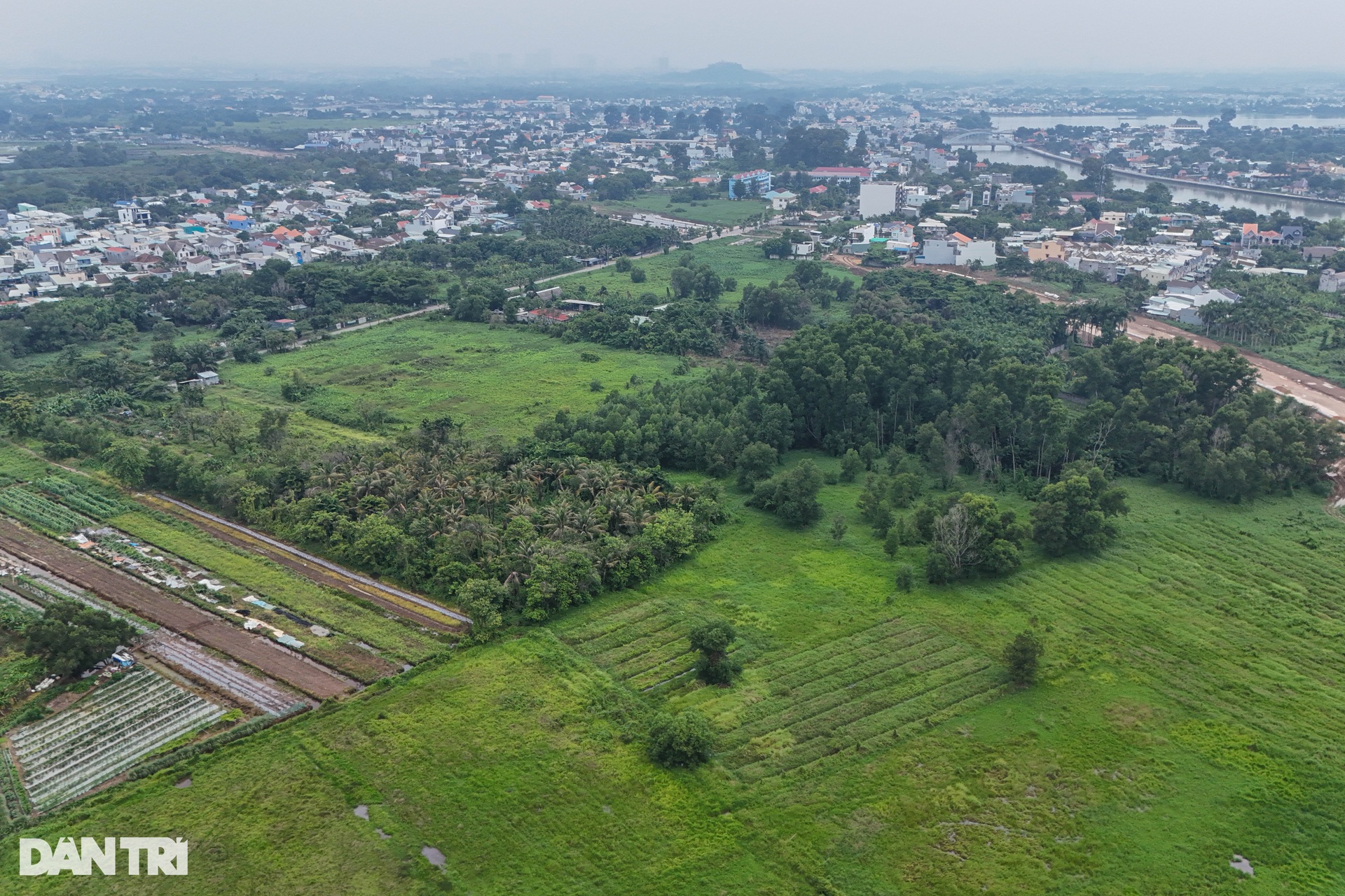 Cù lao Phố hòn ngọc xanh giữa dòng Đồng Nai - 4 Cù lao Phố hòn ngọc xanh giữa dòng Đồng Nai - 4
