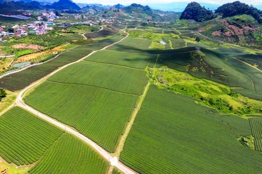 Sơn La nỗ lực nâng cao đời sống cho bà con dân tộc thiểu số