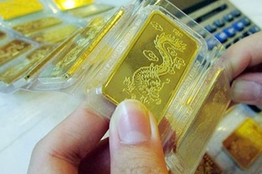 Sáng mai, đấu thầu tiếp 1 tấn vàng “Nhà nước”