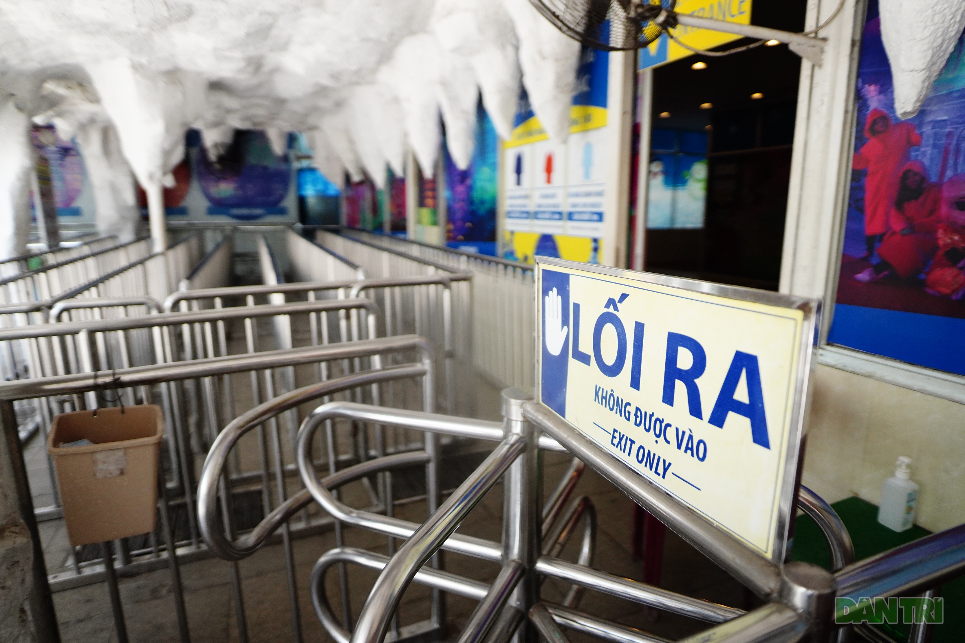 TPHCM: Công viên có hồ nước rộng nhất đìu hiu ngày mở cửa - 5