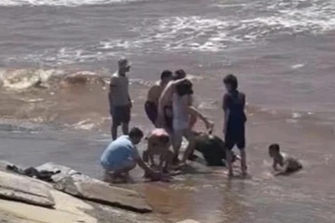 Cứu 5 người bị sóng biển cuốn trôi ở nhà thờ đổ Ninh Bình