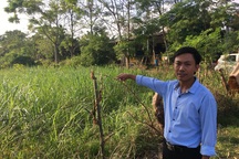 Hàng ngàn m2 đất nông nghiệp được “ưu ái” để chuyển đổi thành đất ở?