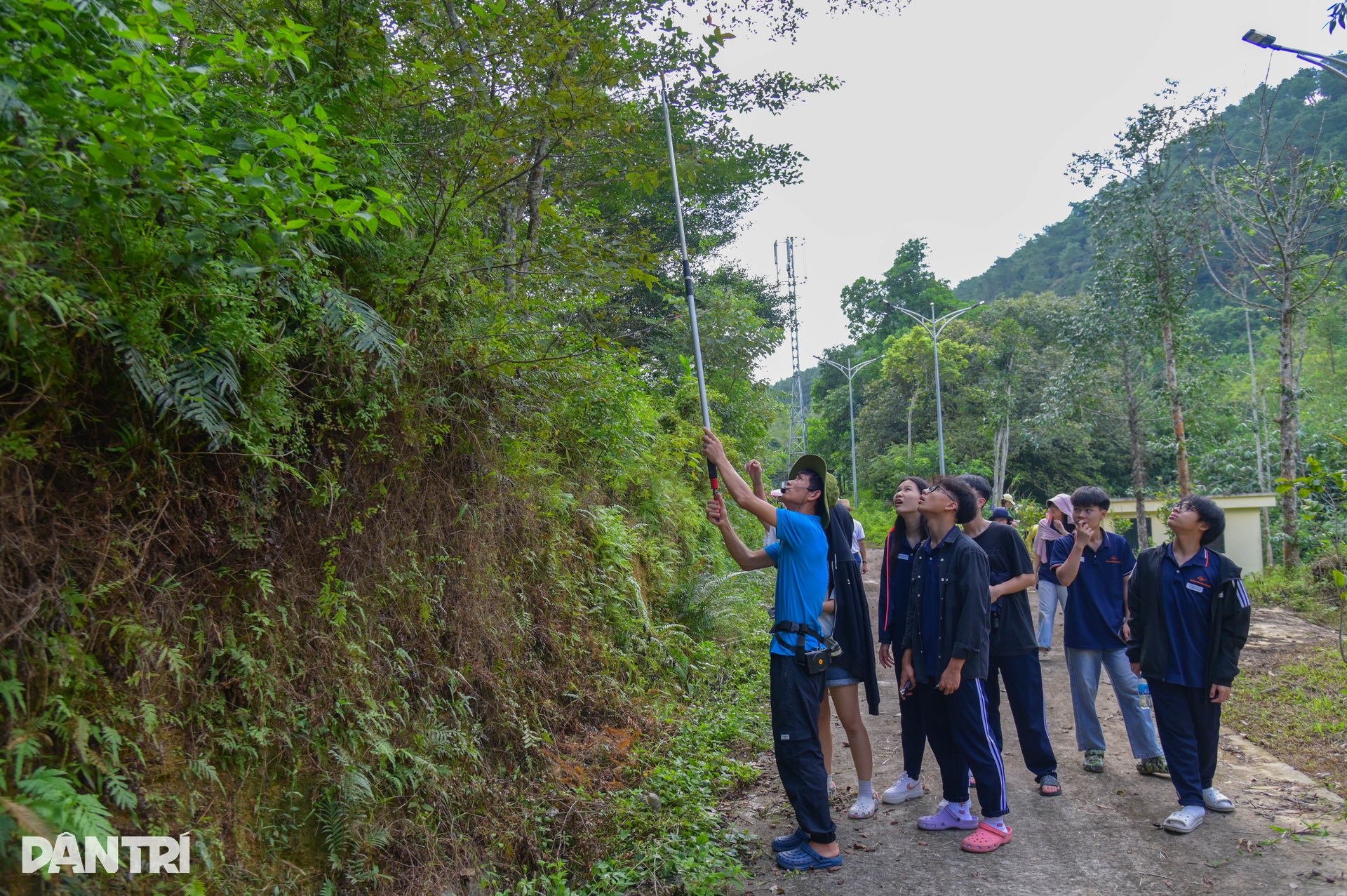 Cận cảnh loài thằn lằn cá sấu ở Việt Nam, có mặt từ thời khủng long - 14 Cận cảnh loài thằn lằn cá sấu ở Việt Nam, có mặt từ thời khủng long - 14