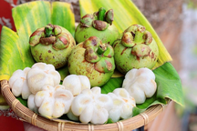 Trào lưu măng cụt xanh gây sốt: Tiết lộ bất ngờ từ các chủ vườn