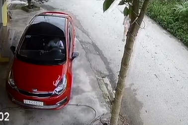 Những câu chuyện từ một pha lùi xe của một tài xế nữ