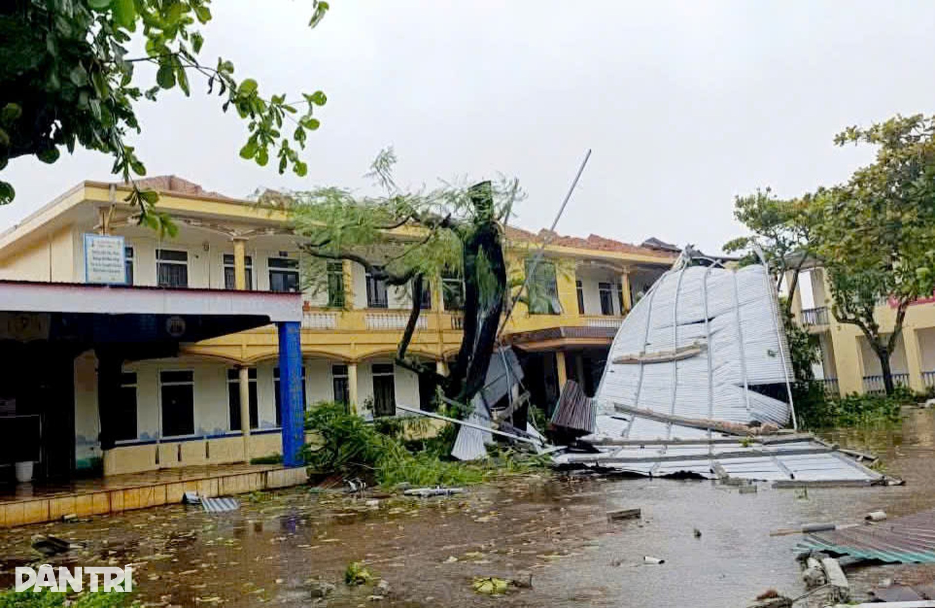 Nghệ An, Hà Tĩnh oằn mình chống bão Kajiki: Cây đổ, nhà tốc mái tứ tung - 7 Nghệ An, Hà Tĩnh oằn mình chống bão Kajiki: Cây đổ, nhà tốc mái tứ tung - 7