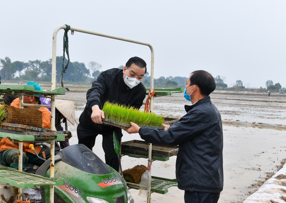 Bí thư và Chủ tịch TP Hà Nội xuống đồng cấy lúa, động viên nông dân - 3 Bí thư và Chủ tịch TP Hà Nội xuống đồng cấy lúa, động viên nông dân - 3