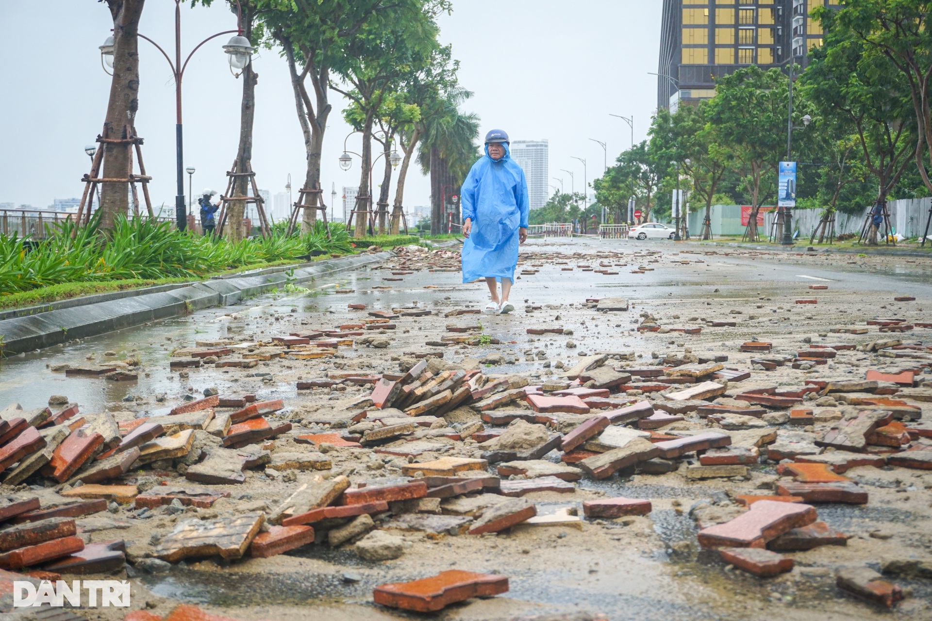 Cây đổ hàng loạt, sóng đánh tốc gạch vỉa hè ven sông Hàn do bão Trà Mi - 1