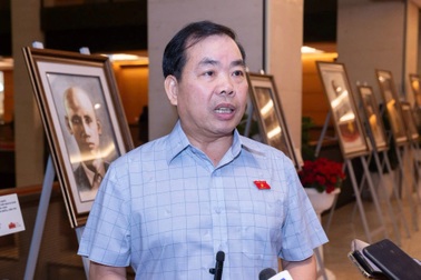 Đại biểu Quốc hội nói về việc EVN tăng giá điện 4,8% từ 10/5