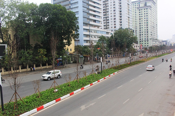 Hà Nội sẽ hàng cây phong lá đỏ ở đường Nguyễn Chí Thanh - Ảnh 1. Hà Nội sẽ hàng cây phong lá đỏ ở đường Nguyễn Chí Thanh - Ảnh 1.