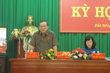 Bí thư tỉnh xót rừng thông bị phá nhưng không truy trách nhiệm được ai