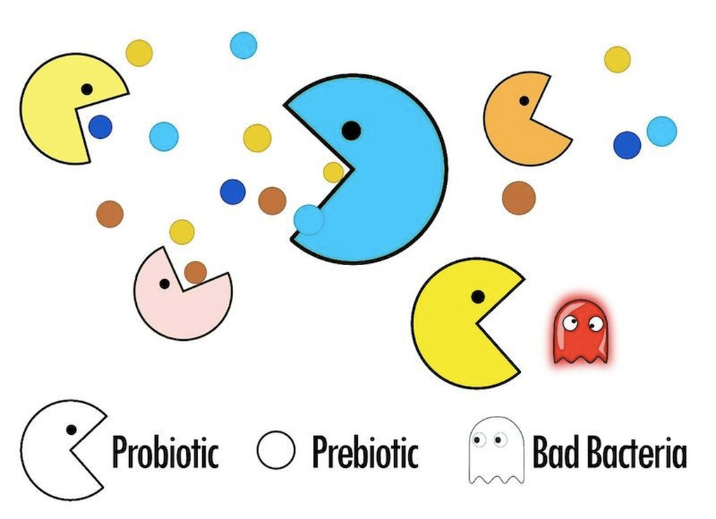 Vai Trò Của Probiotic - Hệ Vi Sinh Trên Da