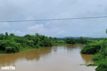 Đi bắt dế, người đàn ông mất tích trên sông