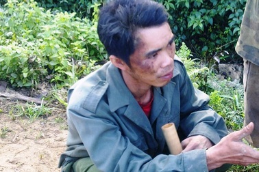 Voi rừng quật chết người