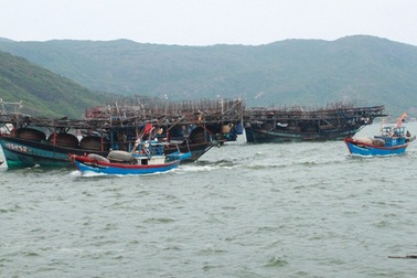 Bình Định: Hơn 345.000 học sinh nghỉ học tránh bão