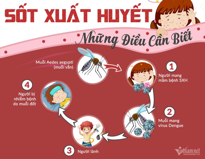 Thuốc nam hỗ trợ phòng trị sốt xuất huyết - Ảnh 2.