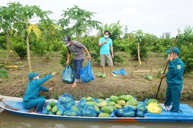 Dành tặng cả vườn rau, cây trái hỗ trợ những người khó khăn mùa dịch
