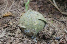 Phát hiện ổ bom bi 105 quả khi bơm nước giữa lòng sông