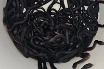 Bắt tổ rắn bụng đỏ cực độc 102 con làm tổ ở vườn nhà dân