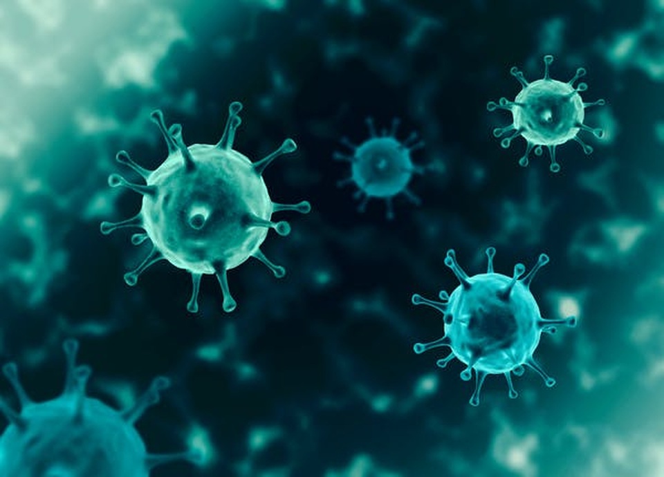 Loài người có nguy cơ nhiễm 850.000 virus nếu không bảo vệ thiên nhiên - 1 Loài người có nguy cơ nhiễm 850.000 virus nếu không bảo vệ thiên nhiên - 1