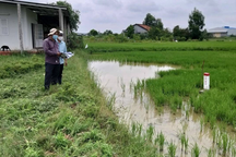 Long An "chốt" ngày khởi công dự án thuộc Vành đai 3 TPHCM